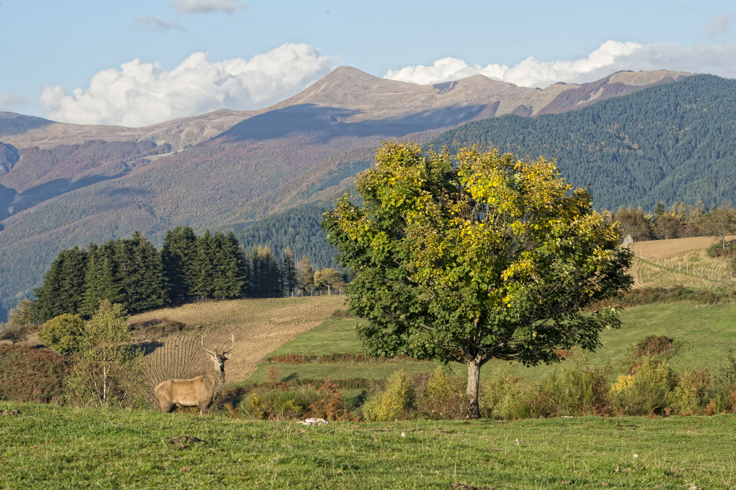 Oasi Dynamo_foto