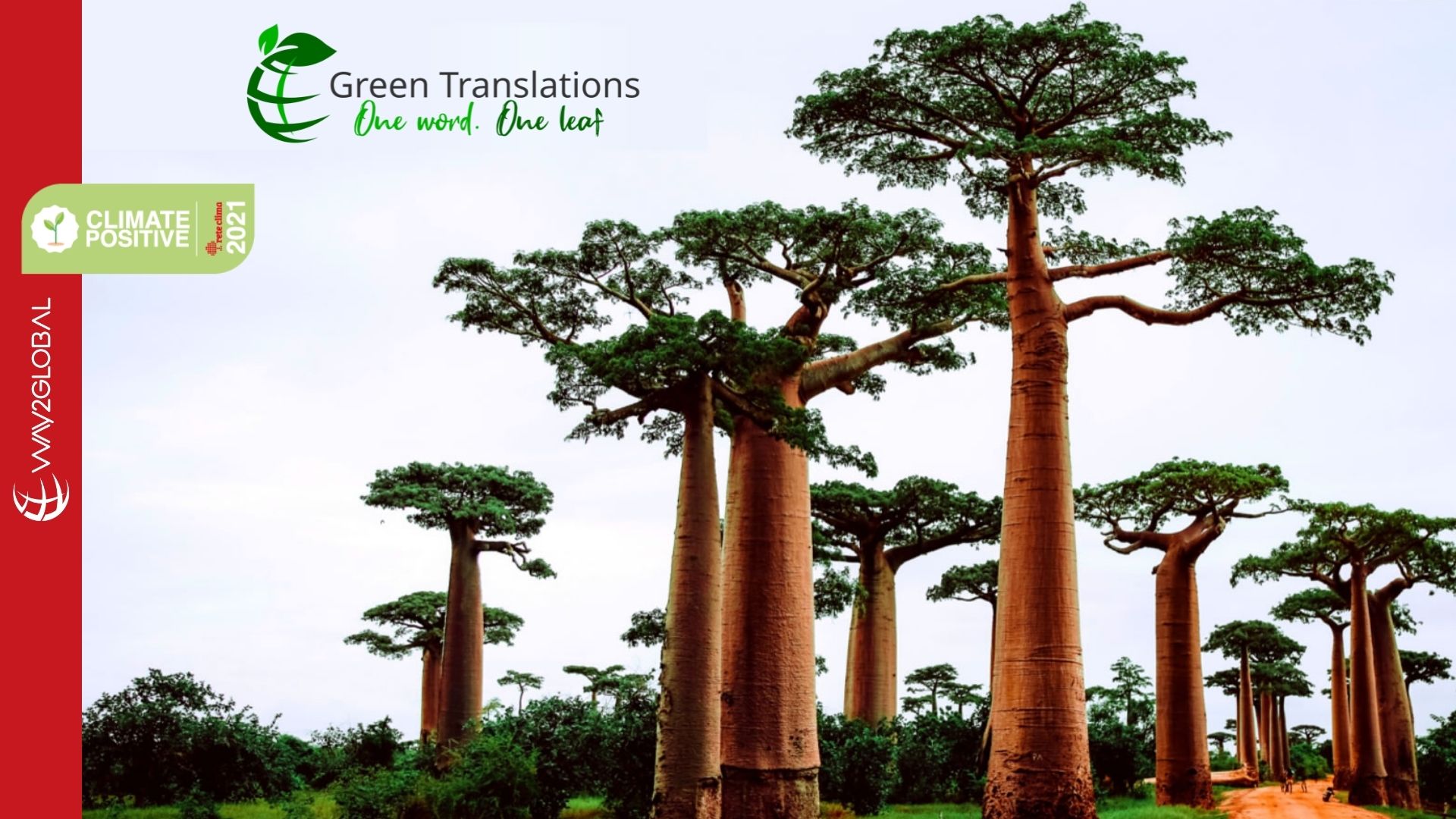 Green Translations_immagine